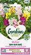 GONDIAN - Muflier Demi-nain Varié Gondian - vignette