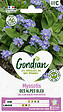 GONDIAN - Myosotis des Alpes Bleu Gondian - vignette