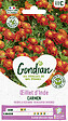 GONDIAN - Oeillet d'Inde Bonita Carmen Gondian - vignette