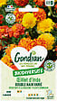 GONDIAN - Oeillet d'Inde Double Nain Varié Gondian - vignette