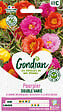 GONDIAN - Pourpier Double Varié Gondian - vignette