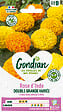 GONDIAN - Rose d'Inde Double Grande Variée Gondian - vignette