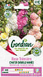 GONDIAN - Rose Trémière Extra Chater Varié Gondian - vignette