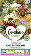 GONDIAN - Tournesol Beauté d'Automne Gondian - vignette