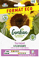 GONDIAN - Tournesol à Fleur Géante Gondian - vignette