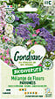 GONDIAN - Mélange de fleurs Fleurs Parfumées Gondian - vignette