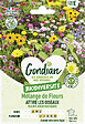 GONDIAN - Mélange de fleurs Attire les Oiseaux Gondian - vignette