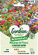 GONDIAN - Mélange de fleurs Floraison Rapide Gondian - vignette