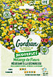 GONDIAN - Mélange de fleurs pour Terrain Sec Gondian - vignette