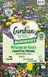 GONDIAN - Mélange de fleurs Pérennes Gondian - vignette