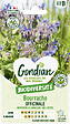 GONDIAN - Bourrache Officinale Gondian - vignette