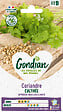 GONDIAN - Coriandre Cultivée Gondian - vignette