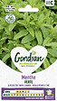 GONDIAN - Menthe Verte Gondian - vignette