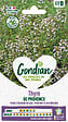 GONDIAN - Thym de Provence Gondian - vignette