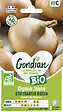 GONDIAN - Oignon Stuttgarter Bio Gondian - vignette