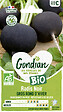 GONDIAN - Radis Noir Noir Gros Rond d'Hiver Bio Gondian - vignette