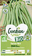 GONDIAN - Haricot Maxi Bio Gondian - vignette