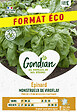 GONDIAN - Epinard Monstrueux de Viroflay Gondian - vignette