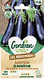 GONDIAN - Aubergine de Barbentane Gondian - vignette