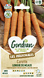 GONDIAN - Carotte Longue de Meaux Gondian - vignette