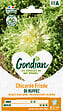 GONDIAN - Chicorée de Ruffec Gondian - vignette