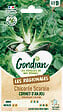 GONDIAN - Chicorée Cornet d'Anjou Gondian - vignette
