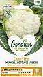 GONDIAN - Chou-Fleur Merveille des 4 Saisons Gondian - vignette