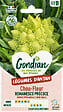 GONDIAN - Chou-Fleur Romanesco Natalino Gondian - vignette