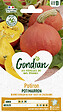 GONDIAN - Potiron Potimarron Gondian - vignette