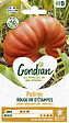 GONDIAN - Potiron Rouge Vif d'Etampes Gondian - vignette