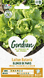 GONDIAN - Laitue Blonde de Paris Gondian - vignette