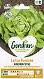GONDIAN - Laitue Kinemontepas Gondian - vignette