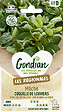 GONDIAN - Mâche Coquille de Louviers Gondian - vignette