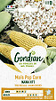 GONDIAN - Oignon Pop Corn Nana HF1 Gondian - vignette