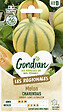GONDIAN - Melon Charentais Gondian - vignette