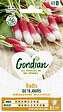GONDIAN - Radis de 18 Jours Gondian - vignette