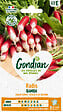 GONDIAN - Radis Bamba Gondian - vignette