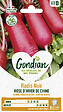 GONDIAN - Radis Rose d'Hiver de Chine Gondian - vignette