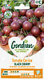 GONDIAN - Tomate Black Cherry Gondian - vignette