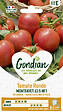 GONDIAN - Tomate Montfavet 63-5 HF1 Gondian - vignette