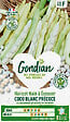 GONDIAN - Haricot Coco Blanc Précoce Gondian - vignette
