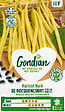 GONDIAN - Haricot de Rocquencourt Gondian - vignette