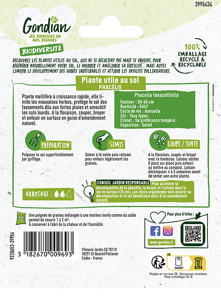 GONDIAN - Plantes utiles au sol - Phacélie Gondian - large