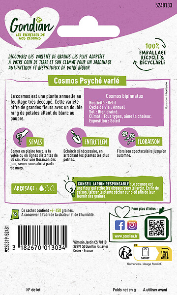 GONDIAN - Cosmos Psychée Gondian - large
