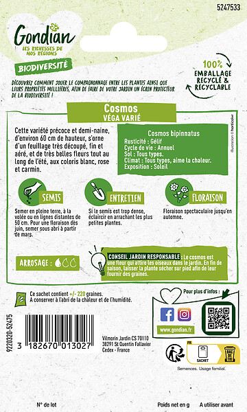 GONDIAN - Cosmos Vega Varié Gondian - large