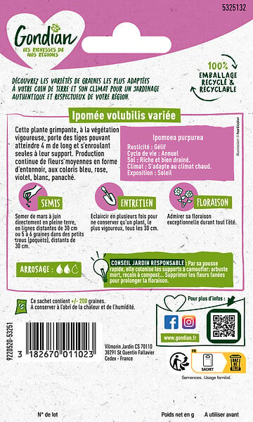 GONDIAN - Ipomée Volubilis Variée Gondian - large