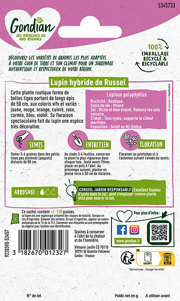 GONDIAN - Lupin Hybride de Russell Varié Gondian - large