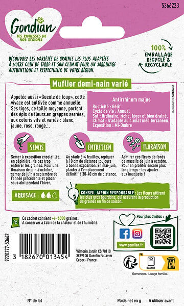 GONDIAN - Muflier Demi-nain Varié Gondian - large
