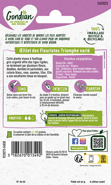 GONDIAN - Oeillet des Fleuristes Triomphe Varié Gondian - large