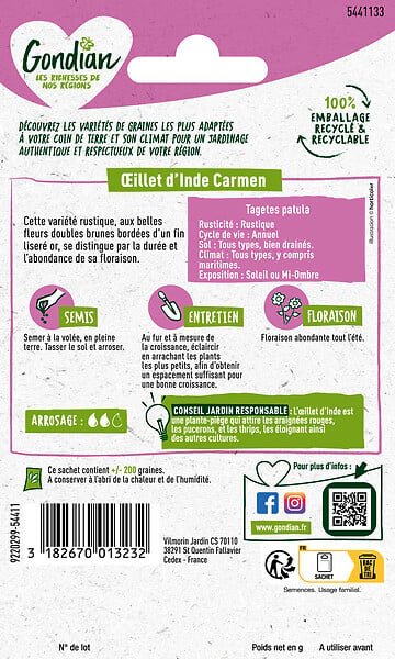 GONDIAN - Oeillet d'Inde Bonita Carmen Gondian - large